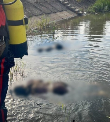 Вода забрала життя одразу двох дітей на Закарпатті
