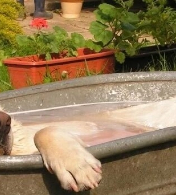 Спека до 37° та мінлива хмарність: погода в Одеському регіоні сьогодні