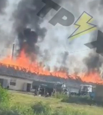 Біля Луцька горить ферма з тваринами. Відео