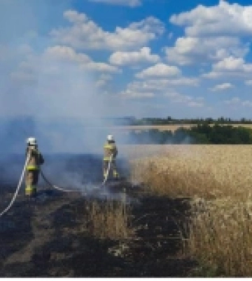 У трьох громадах Баштанщини сталися пожежі