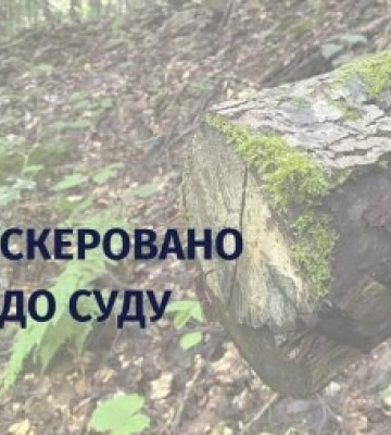 Колишню начальницю відділення Ужанського нацпарку судитимуть за допущення незаконної вирубки лісфонду на понад пів мільйона&amp;hellip;