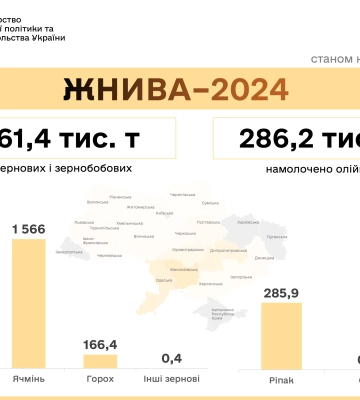Жнива-2024: в Україні вже збирають пшеницю, ячмінь, горох, ріпак