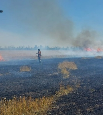 После российского обстрела в Харьковской области загорелось 20 га пшеницы
