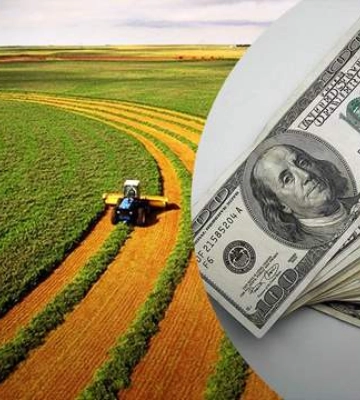 567 тисяч гектар землі продали за три роки відкритого ринку