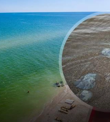 Такого не было никогда: что происходит с Азовским морем возле Мариуполя
