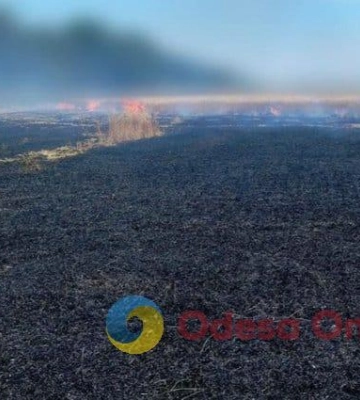 Екологи розповіли подробиці ракетного удару по Одещині наприкінці червня