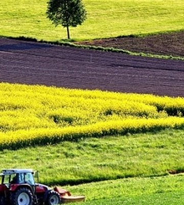 В Україні за три роки продали понад 550 тисяч га землі: де купували найбільше, а де найдорожче