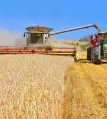 В Україні вже намолочено 3,7 мільйона тонн нового врожаю