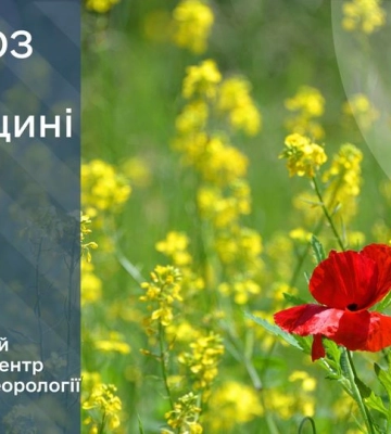 Спека і трохи дощів - якою буде погода на Рівненщині цими днями