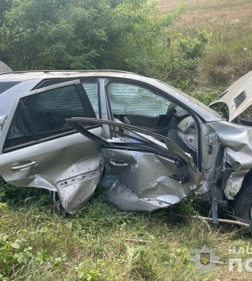 На Волині водії та патрульні самостійно розчистили трасу від поваленого дерева