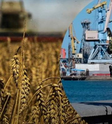 Росіяни крадуть українське зерно нового врожаю: масштаби злочину