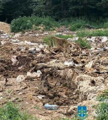 На Полтавщині незаконно вивозили рештки худоби на 1,5 га землі