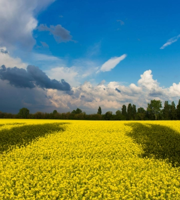 Україні повернула з полону чоловіка, якого звинувачували в підриві літака А-50 у Білорусії
