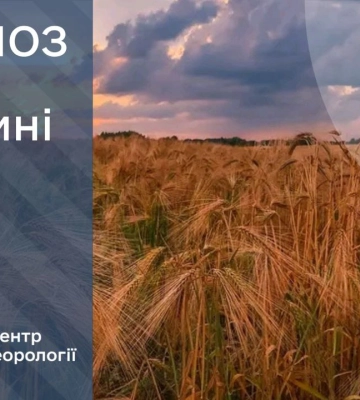 На Сумщині прогнозують грозу