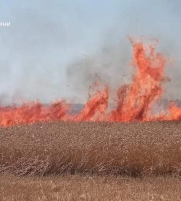 На Харківщині вогнеборці врятували понад 50 гектарів пшениці