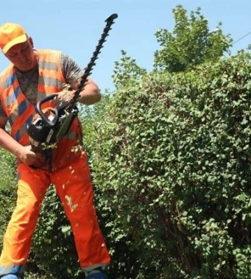 У Дніпрі продовжують піклуватись про зелені насадження