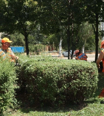 «Кадри нам потрібні. Ми вчимо з нуля опановувати професію»: КП «Міськзеленбуд» Дніпра запрошує на роботу