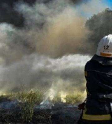 На Миколаївщині за добу зареєстровано 36 пожеж