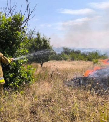 На Миколаївщині за добу зареєстровано 36 пожеж
