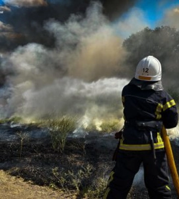 Рятувальники та вогнеборці місцевої пожежної охорони за минулу добу ліквідували 36 пожеж
