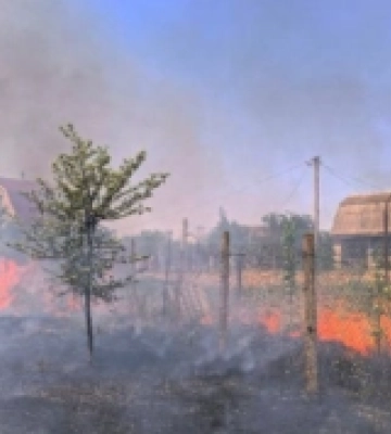 На Миколаївщині сталася масштабна пожежа — вогонь підступає до дачних будинків