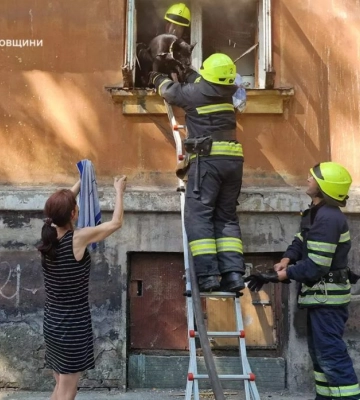 У Дніпрі під час пожежі врятували двох песиків