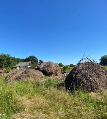 На Житомирщині під час дачного конфлікту пенсіонер побив сусідку молотком