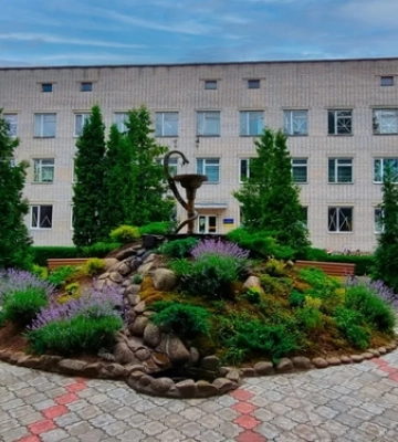 Лікарня на Волині замовила облаштування соляної кімнати за майже мільйон гривень