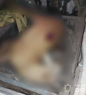 У Лебедині поліцейські викрили чоловіка, який вбив косулю