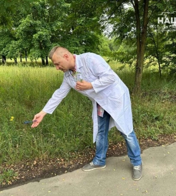 У Дніпрі знайшли екологічний спосіб боротьби з амброзією