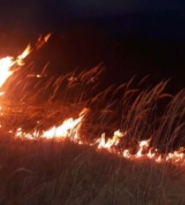 Впродовж доби на Львівщині зафіксовано п&#039;ять пожеж сухої трави