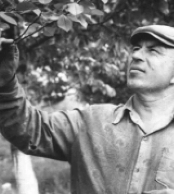 Краєзнавець, який збирав спогади про Волинську трагедію
