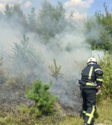 Волинські вогнеборці ліквідували дві пожежі сухостою