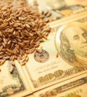 Нацбанк збільшив аграріям термін повернення валютної виручки