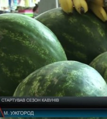 Стартував сезон кавунів: Ціни та попит на Закарпатті (відео)