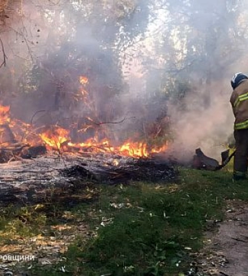 Вогнеборці Дніпропетровщини ліквідували 76 пожеж в екосистемах