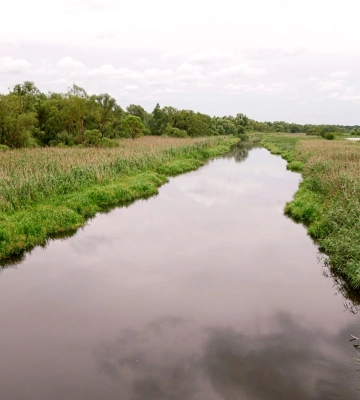 У прокуратурі повідомили, скільки земель водного фонду Львівщини повернули  державі