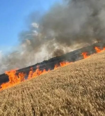 Біля ЦНАП Запоріжжя черги: що робити