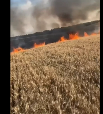 Внаслідок ворожого обстрілу в Запорізькій області згоріло майже 4 гектари хліба