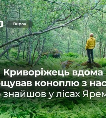 Криворожанин хранил в котельной каннабис, который вырастил из найденных в лесу Яремче семян: приговор