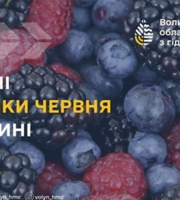Спекотний і мокрий: погодні підсумки червня на Волині