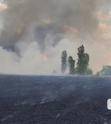 У Тернівському районі Кривого Рогу горіло поле пшениці