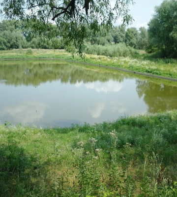 На Ковельщині в ставку втонув чоловік 