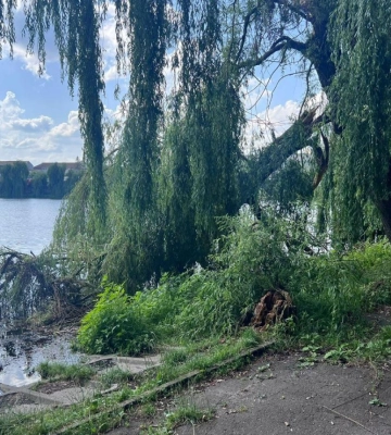 Рівненський Гідропарк обслуговуватиме Трест зеленого господарства