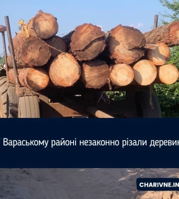 У Вараському районі незаконно різали деревину