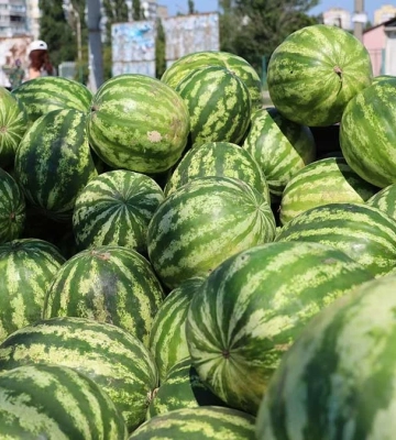 Показ документального фільму “Редакція”, заробітна плата керівників Херсонської обласної прокуратури, урожай кавунів: новини&amp;hellip;