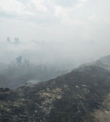 На Волині двоє пенсіонерів виявилися паліями сухої трави 