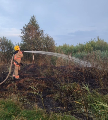 На Волині двоє пенсіонерів виявилися паліями сухої трави 