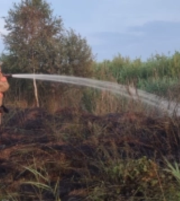 На Волині в кількох селах горіла суха трава