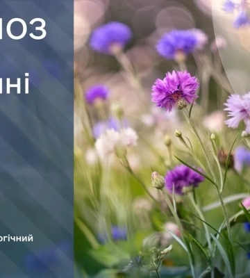 15 липня стовпчики термометрів перетнуть позначку у +40 градусів — синоптикиня